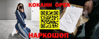 тгк Бийск