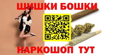 тгк Бийск