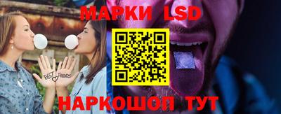 тгк Бийск
