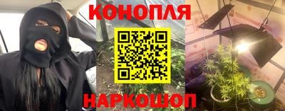 тгк Бийск