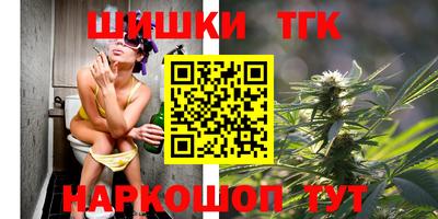 тгк Бийск