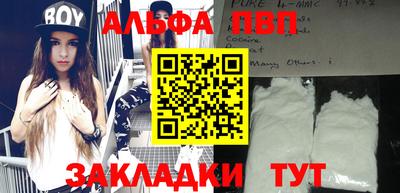 тгк Бийск