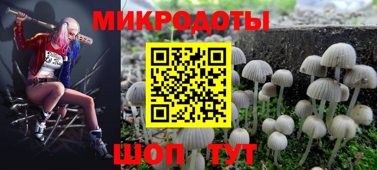 Клин  Галлюциногенные грибы мицелий  Вход с VPN 
